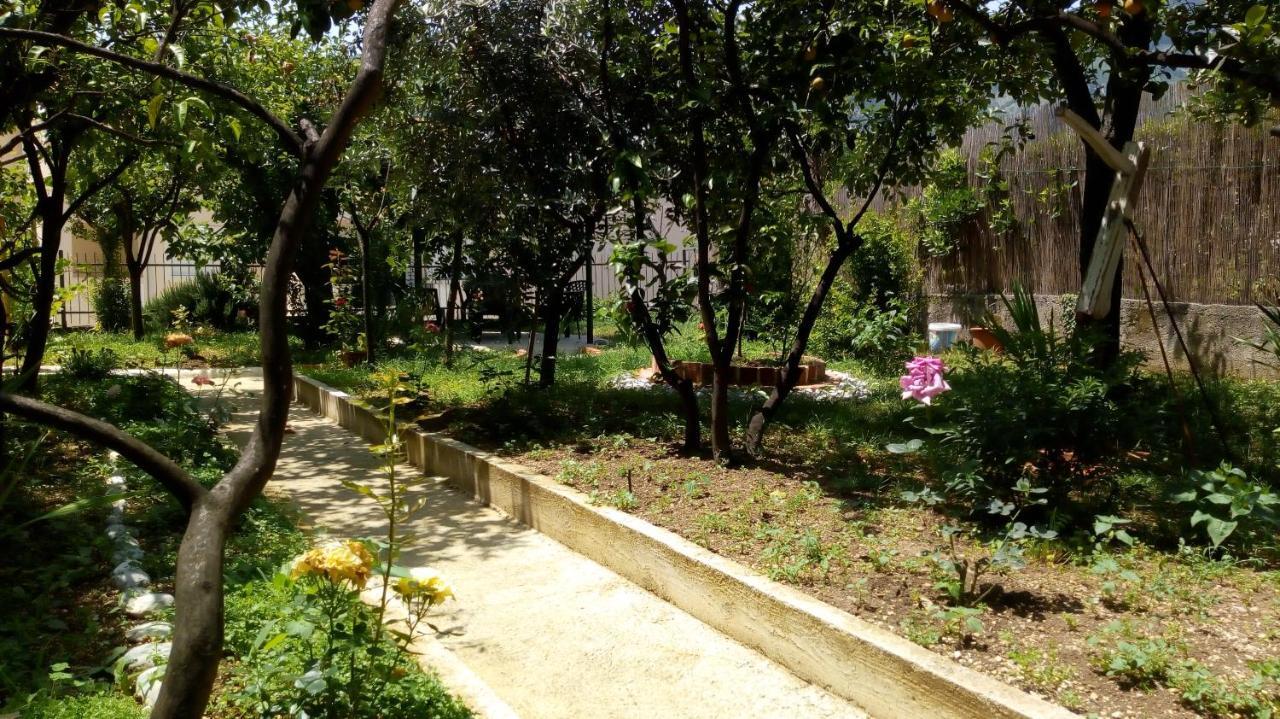Tea Διαμέρισμα Κότορ Εξωτερικό φωτογραφία