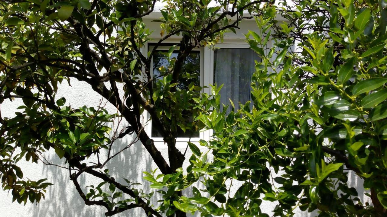 Tea Διαμέρισμα Κότορ Εξωτερικό φωτογραφία
