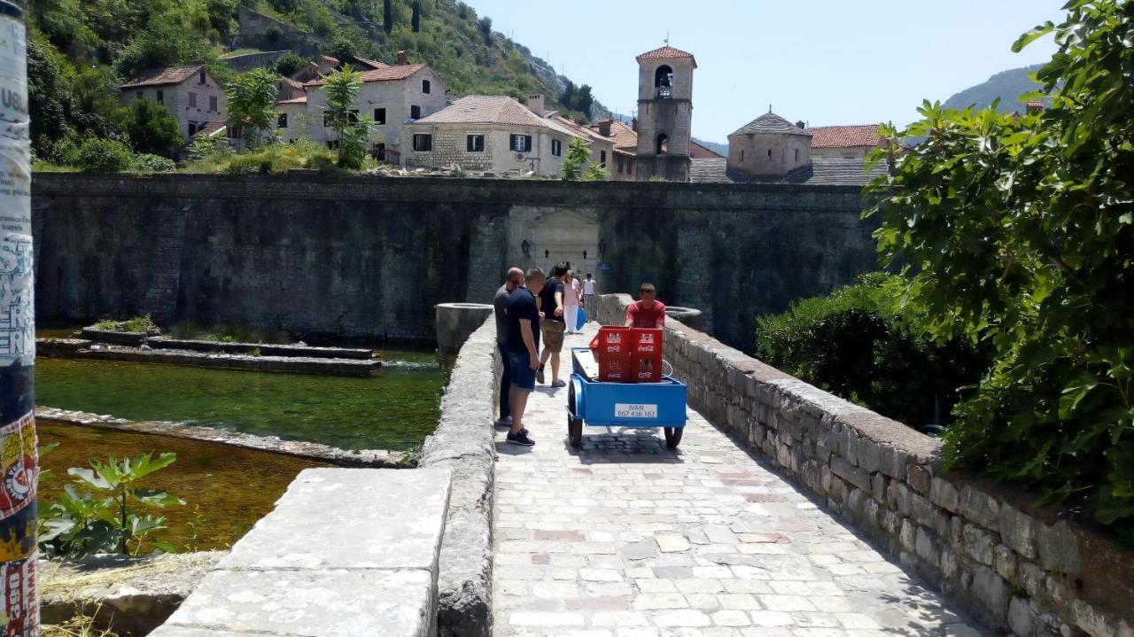 Tea Διαμέρισμα Κότορ Εξωτερικό φωτογραφία