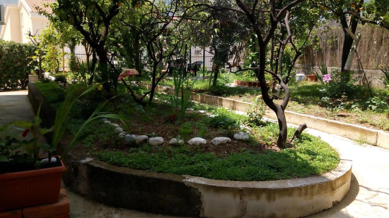 Tea Διαμέρισμα Κότορ Εξωτερικό φωτογραφία