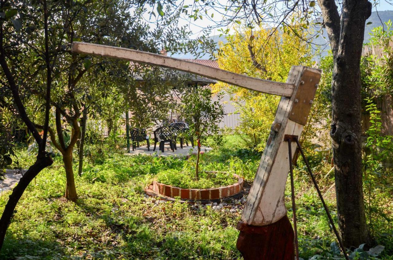 Tea Διαμέρισμα Κότορ Εξωτερικό φωτογραφία